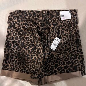 Express high waisted shorts